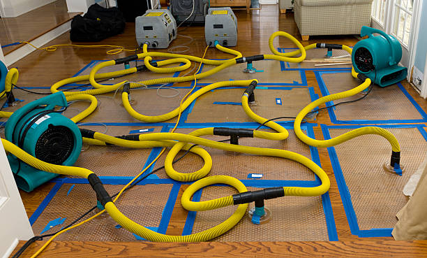 Professional Sewage Cleanup technician working in Springfield, GA
